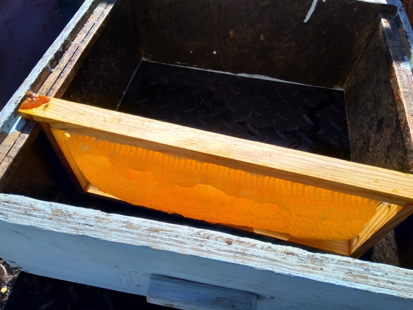 A honey frame held inside a box