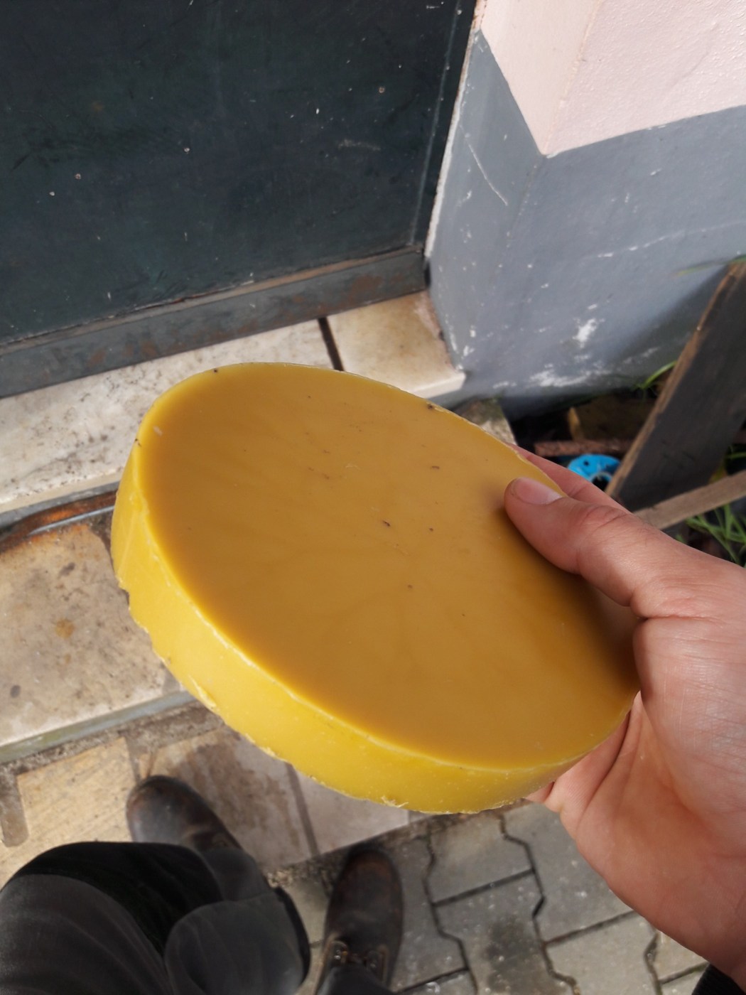 A hand holding a round yellow cake of recovered beeswax