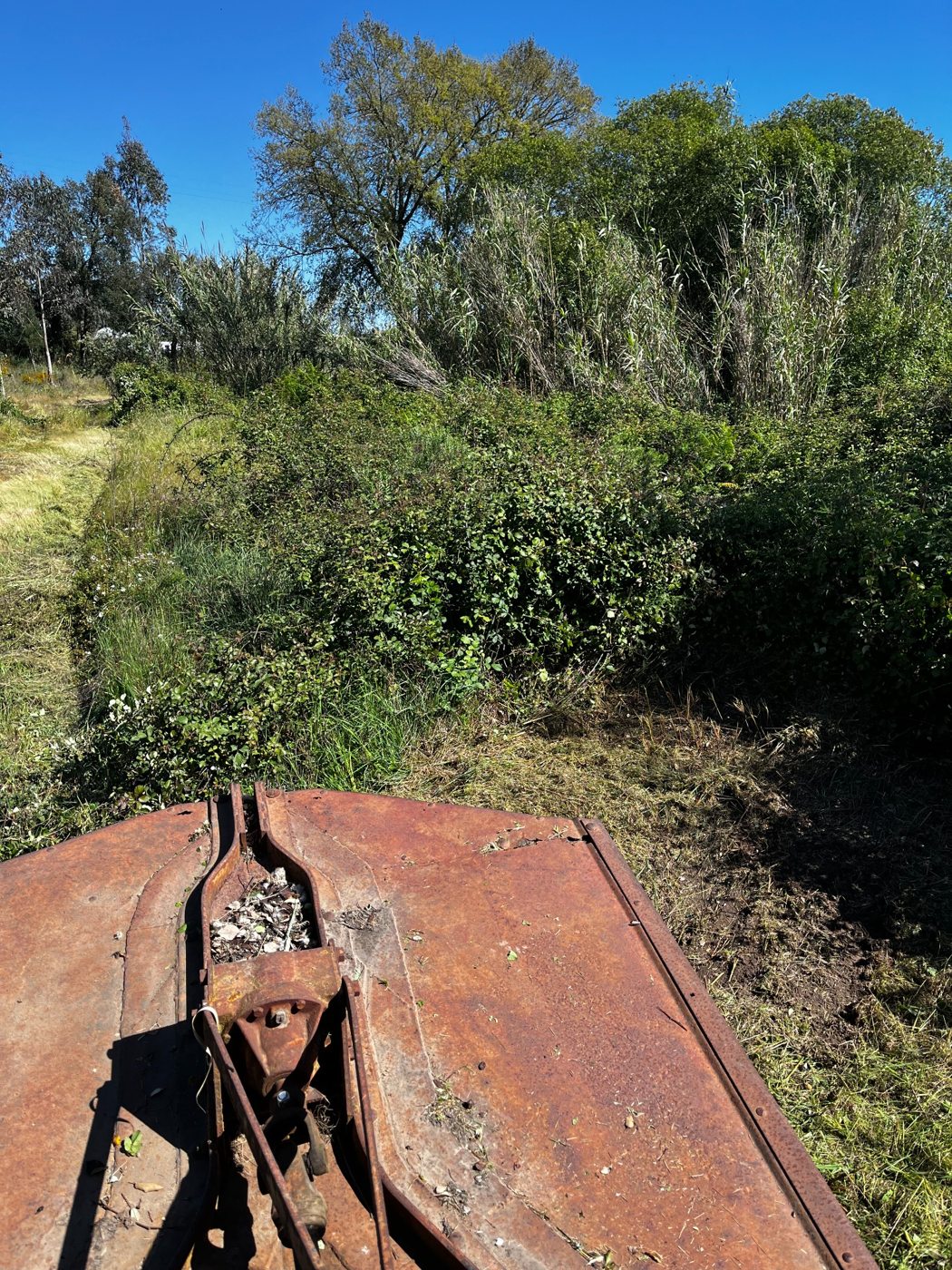 Brush mower facing rough vegetation at the edge of the farm